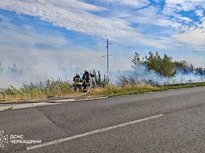 25 пожеж за день: на Черкащині горіли суха рослинність та екосистеми
