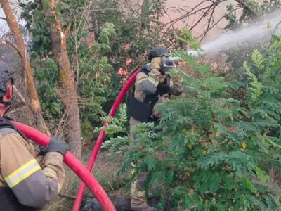На Херсонщині за добу рятувальники загасили сім пожеж в екосистемах