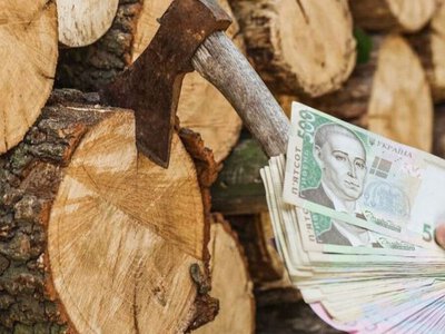 Дрова по 12 300 грн за ящик: українців попередили про шалені витрати на опалення