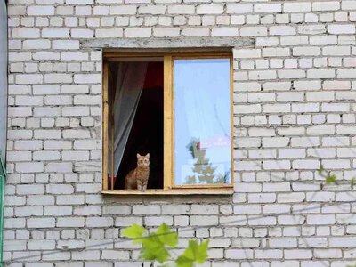 На Херсонщині у 2,5 раза зросла кількість нотаріусів: тепер їх 84