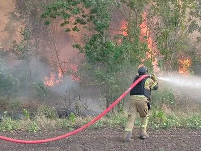 На Херсонщині 4 гектари сухої рослинності згоріло за добу через російські атаки