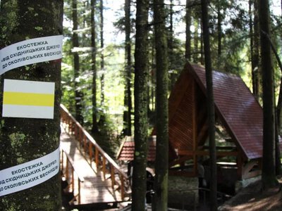 У туристичному місті на Львівщині відкрили нову екологічну стежку