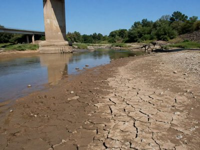  Річки міліють до історичних мінімумів: чи загрожує Україні нестача води 