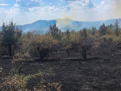 На Закарпатті оголосили попередження про високу пожежну небезпеку