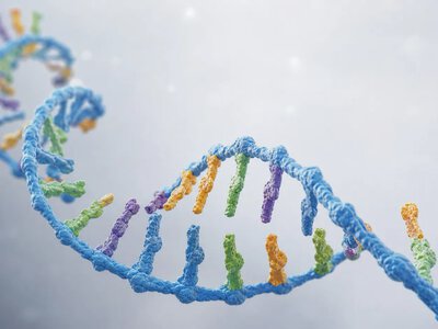 ARPA-H профінансувала розробку індивідуалізованих РНК-терапій