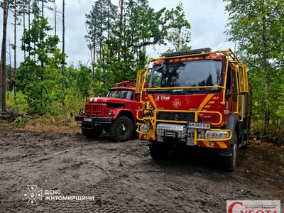 Лісову пожежу на Коростенщині ліквідували після 13 днів гасіння