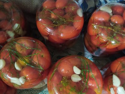 Мариновані помідори (секрет смаку - у додаванні цибулі, перцю і яблука) - Simya