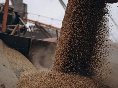 У ЄС шукають способи підтримати експорт зерна з України: що пропонують