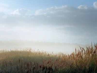 Короткочасні дощі та перші осінні тумани: якою буде погода в Україні 3 вересня