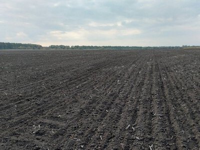 Мінімальний обробіток ґрунту: економія до 40%