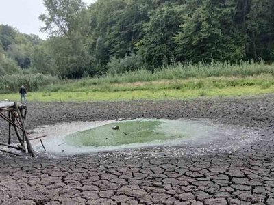 На Тернопільщині повністю висох став у Борсуківській громаді