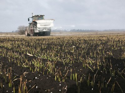 Дробове внесення добрив: ключ до врожайності
