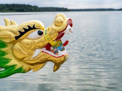 У Житомирі проведуть благодійну лотерею для відновлення човнів «Дракон», пошкоджених підпалом у Гідропарку
