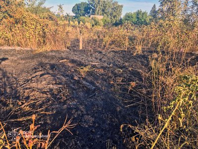 Жінка загинула через випалювання сухої трави на Харківщині (фото)