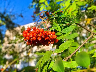 Прогноз погоди на Хмельниччині: туман, +26°C та жовтий рівень небезпечності