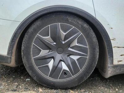 Власники Tesla Model Y L скаржаться на просідання задньої підвіски (ФОТО)