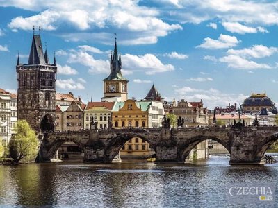 Москва назвала Чехію одним із «осередків неонацизму» у світі
