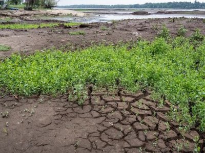 Річки міліють до історичних мінімумів: чи загрожує Україні нестача води