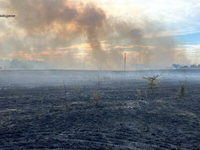 На Кременчуччині за добу вигоріло понад 4,5 га сухої рослинності