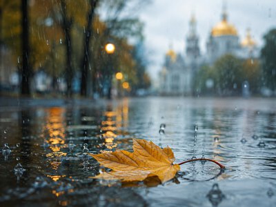 Перше осіннє похолодання та сильний вітер: прогноз погоди для Києва на 4 вересня та вихідні