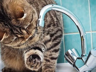 Де у Миколаєві сьогодні відключили воду (адреси)