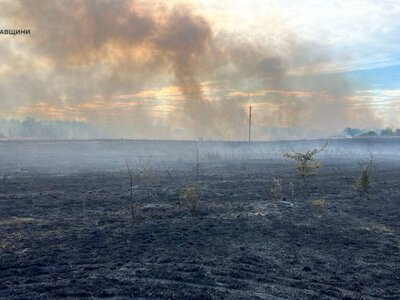 4,5 гектари сухостою вигоріло вчора в Кременчуцькому районі
