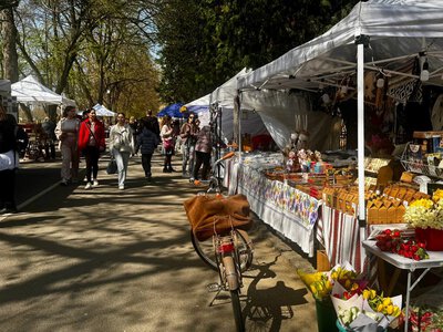 В Ужгороді пропонують створити постійний міський ярмарок