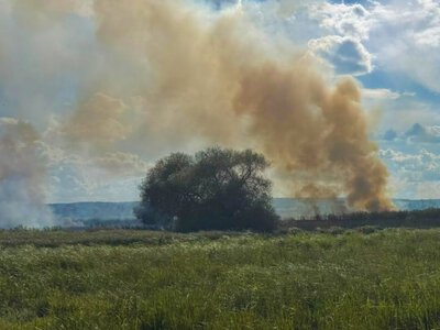 За добу на Вінниччині ліквідували 9 займань