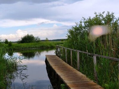 Дізнатися більше Історичні пам’ятки та будівлі Новини ДТП Річки України міліють: на одній із них на Волині течія взагалі «зупинилась»