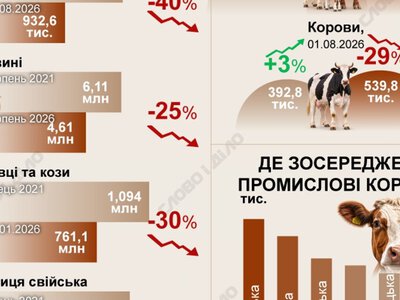Хіба ревуть воли: як змінилося поголів’я корів, свиней та птиці з 2022 року