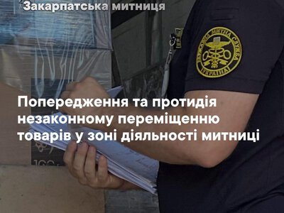 Понад 700 порушень і товарів на 116 мільйонів: що найчастіше намагаються незаконно провезти через Закарпаття