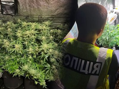 Заробляли до 6 000 грн на пакеті: чоловіки збували канабіс у Рівному