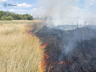 На Полтавщині через спалювання сміття згоріли близько 300 тюків сіна