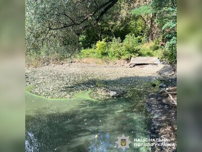 Риба масово загинула на Харківщині: поліція розпочала кримінальне провадження