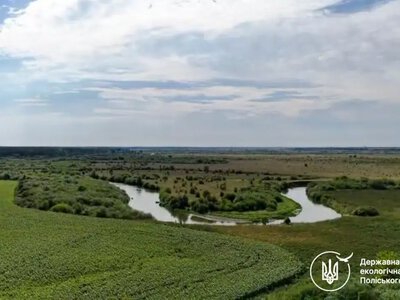 На Сарненщині розорали понад 7 гектарів прибережної смуги Горині: збитки перевищили 139 тисяч гривень