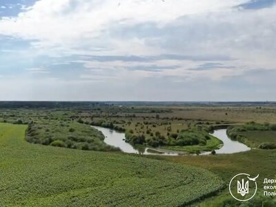 На Рівненщині незаконно розорали 7 га прибережної смуги річки під соняшник