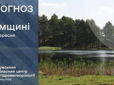 На Сумщині очікуються дощ та сильні пориви вітру