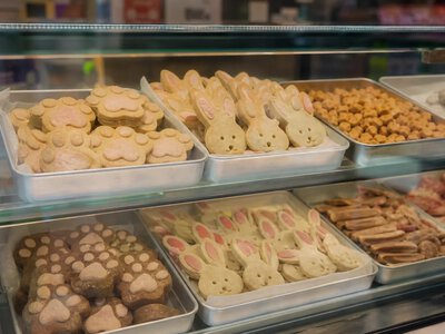 У Ченду очікують зростання попиту на місячні пряники для домашніх тварин