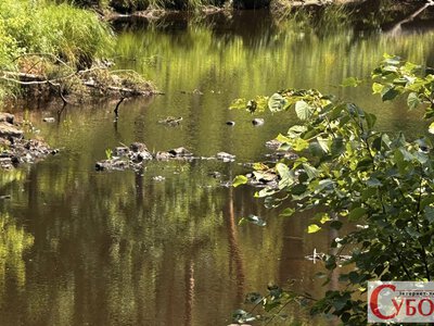 На Уборті 14 підприємствам залишили лише 11% дозволеного ліміту води