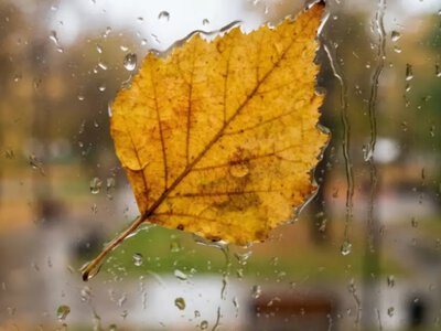 Погода в Україні 5 вересня: південь розжарить до +30°, а захід та північ накриють дощі з вітром 