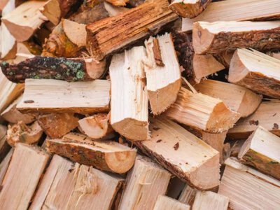 Українцям виплатять по 8000 грн на дрова: хто має право на допомогу 