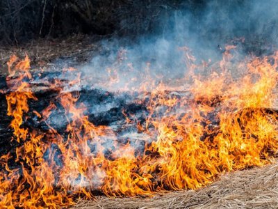Закарпатців попереджають про надзвичайну пожежну небезпеку