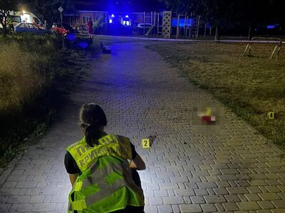 Чоловік підірвав боєприпас у Києві: постраждали чотири особи