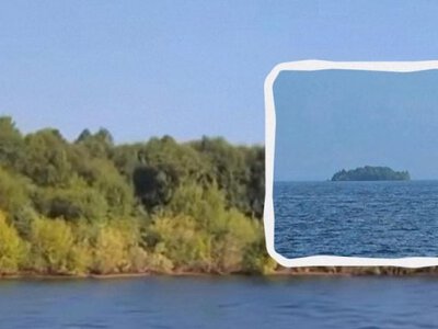  На канадському озері Віллістон виявили плавучий острів з деревами площею 12 000 квадратних метрів 