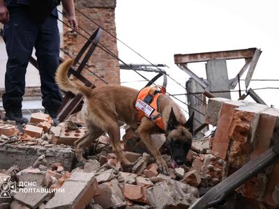 Після удару по Полтаві кінологи із собаками шукали людей на місці атаки: фото