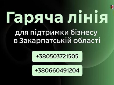 Безпечний тил для українського бізнесу: На Закарпатті запрацювала цілодобова гаряча лінія