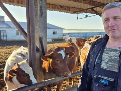 В Україні запровадять єдиний реєстр документів про благополуччя тварин