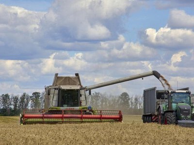 Уряд продовжив строки розрахунків за експорт агропродукції