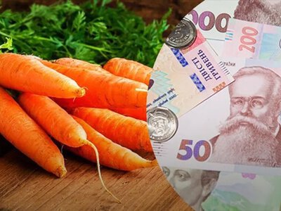 Морква в Україні: ціни падають, фермери б’ють на сполох