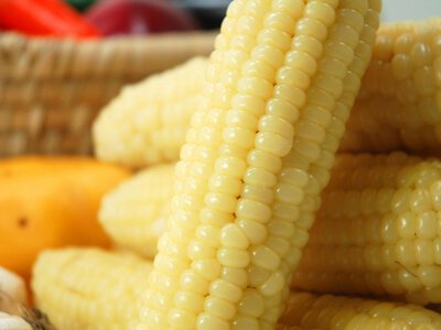Чи можна їсти сиру кукурудзу: дієтологи дали чітку відповідь
